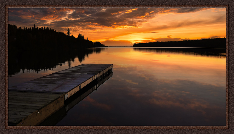 Summer Show by Pat Stone